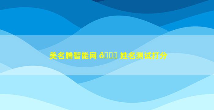 美名腾智能网 🐕 姓名测试打分